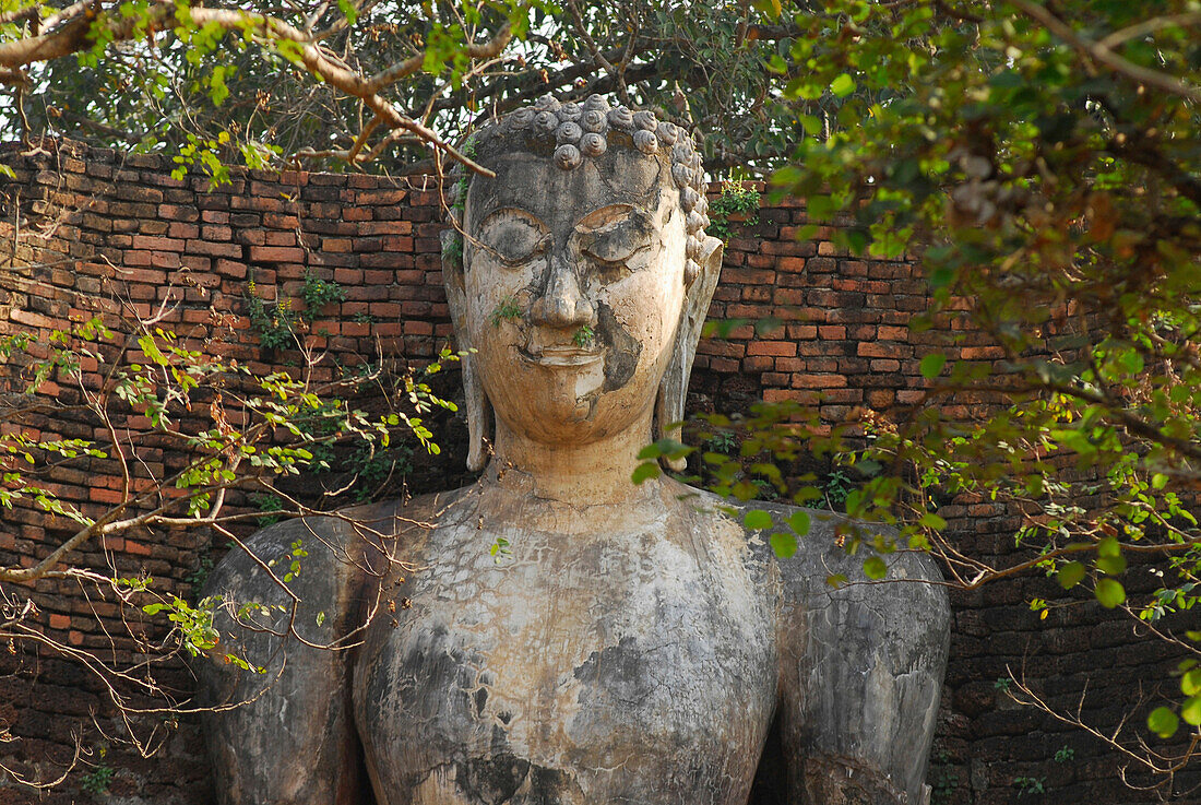 Standing Buddha in the Aranyik forest, Kamphaeng Phet, Wat Phra Si Iriyabot, Central Thailand, Thailand, Asia