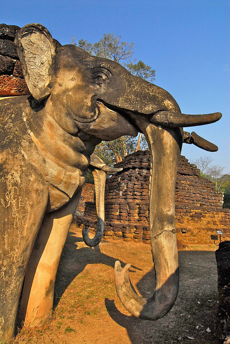 Steinerner Elefant, Skulptur, Kamphaeng Phet, Wat Phra Khaeo, Zentralthailand, Thailand, Asien