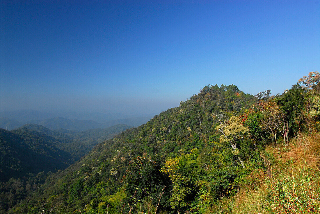 Berge und Dschungel am Doi Phui, Me Rim Valley, Provinz Chiang Mai, Thailand, Asien