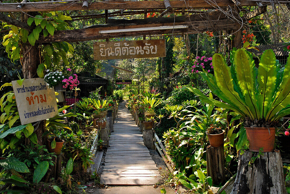 Bridge into the garden, Restaurant near a waterfall, Mae Rim Valley, Province Chiang Mai, Thailand, Asia