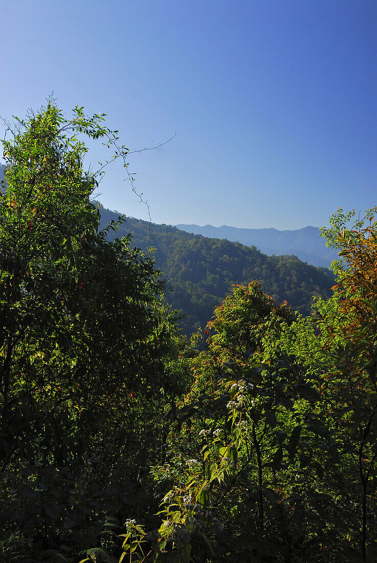 Blick über die Berglandschaft, Nan, Doi Phu Kha Nationalpark, Thailand, Asien