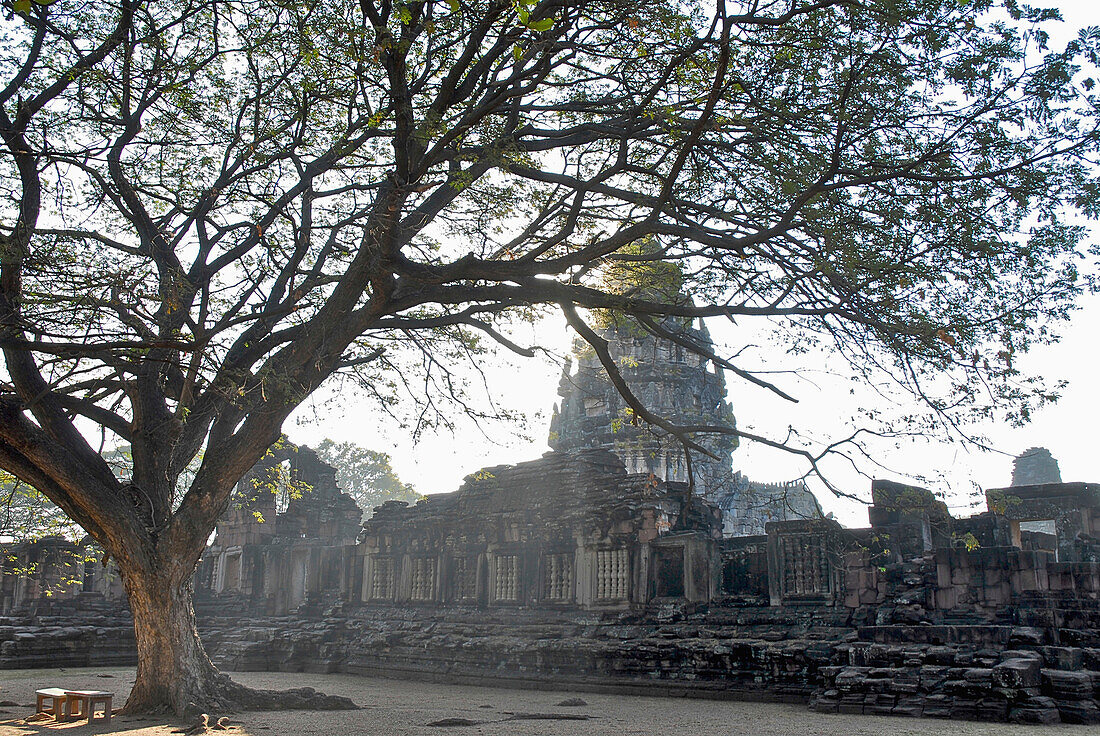 Baum im Park des Prasat Hin Phimai, Khmer Tempel in der Provinz Khorat, Thailand, Asien