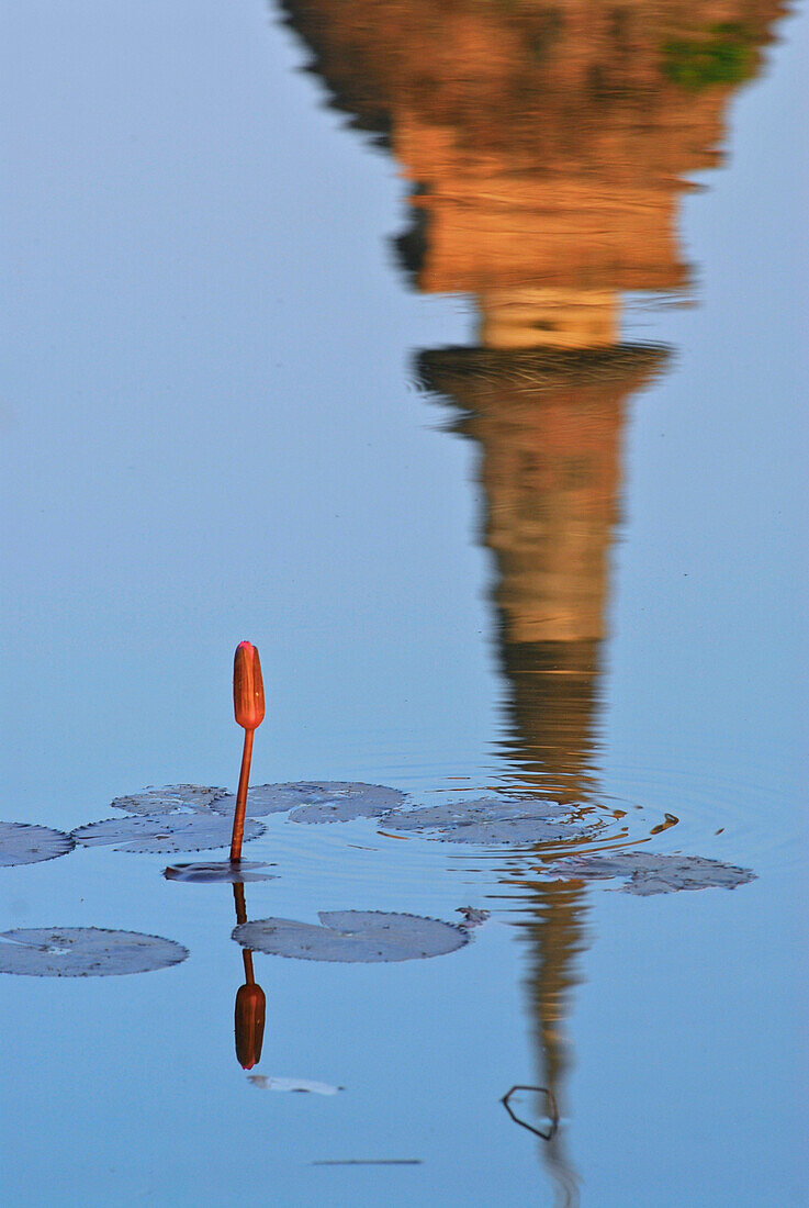 Lotus und Wat Sa Si spiegeln sich im Teich, Sukothai Geschichtspark, Zentralthailand, Thailand, Asien