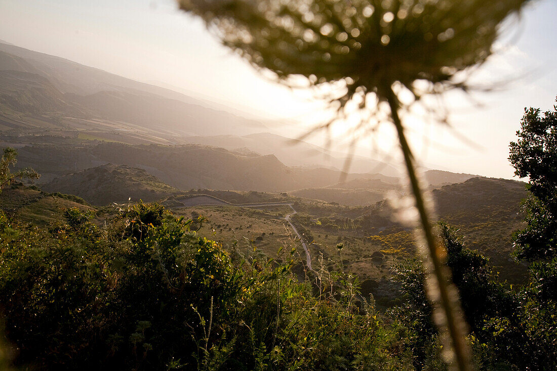 Idyllische Landschaft im Licht der Abendsonne, Provinz Sassari, Sardinien, Italien, Europa