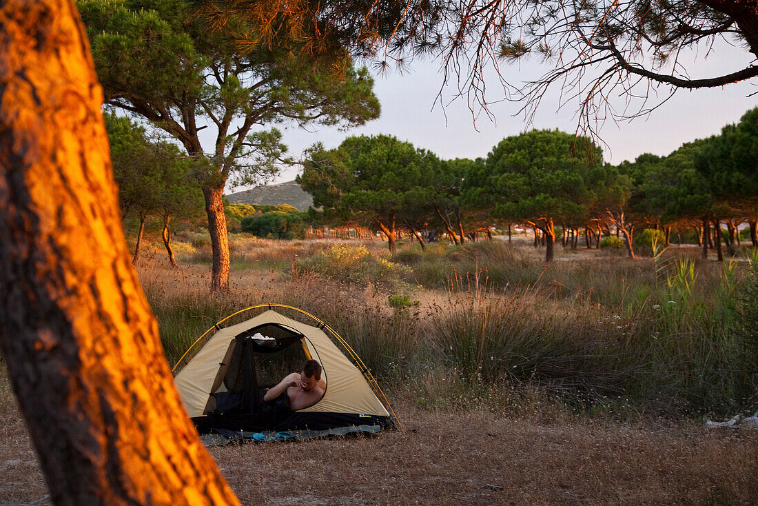 Tired tourist looking out of a tent between pine trees in the morning, Posada, Sardinia, Italy, Europe