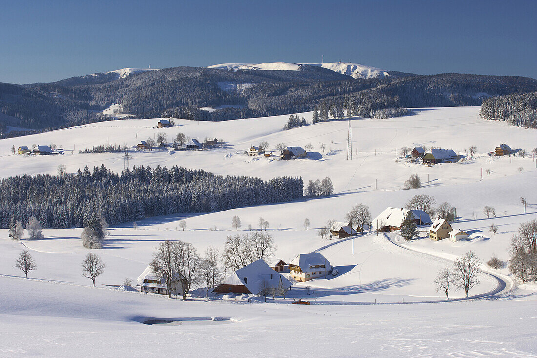 Wintermorgen in Breitnau, Schwarzwald, Baden-Württemberg, Deutschland, Europa