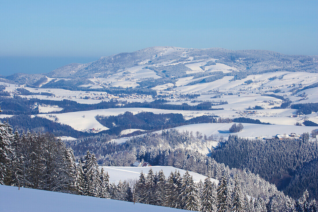 View on a winter's morning from  Breitnau-Fahrenberg towards the mountain Kandel, Black Forest, Baden-Württemberg, Germany, Europe