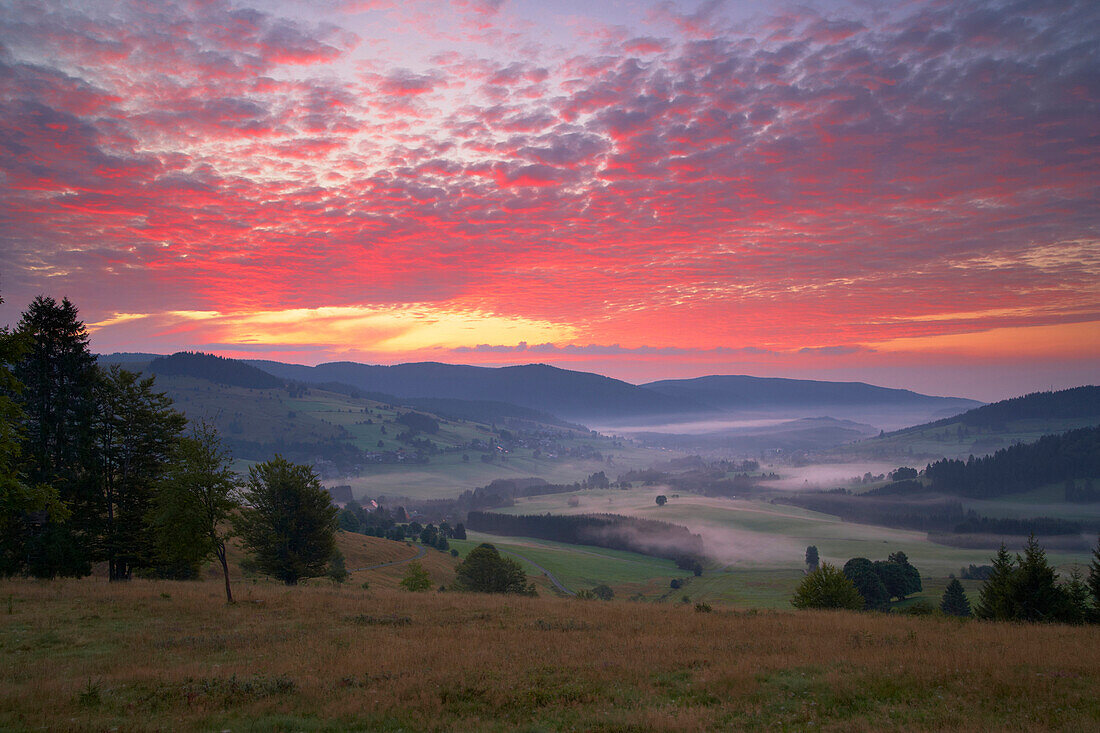 View at the Bernauer Hochtal (Valley of Bernau), Sunrise, Summer, Black Forest, Baden-Württemberg, Germany, Europe
