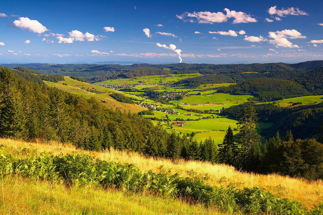 Blick vom Herzogenhorn auf das Bernauer Hochtal und Schweizer Alpen, Nachmittag, Sommer, Schwarzwald, Baden-Württemberg, Deutschland, Europa