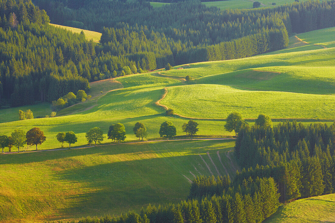 View  at the Bernauer Hochtal (Valley of Bernau) near Bernau-Innerlehen, Evening, Summer, Black Forest, Baden-Württemberg, Germany, Europe