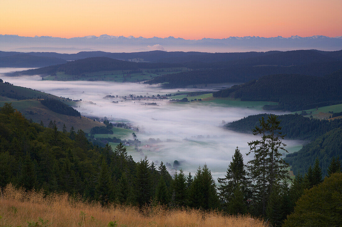 View from the Herzogenhorn at the Bernauer Hochtal (Valley of Bernau) and Swiss Alps, Sunrise, Summer, Black Forest, Baden-Württemberg, Germany, Europe