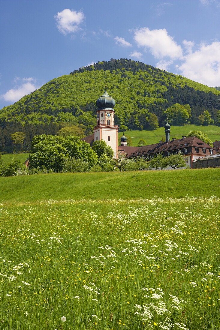 Kloster St. Trudpert im Münstertal, Frühlingstag, Markgräflerland, Schwarzwald, Baden-Württemberg, Deutschland, Europa