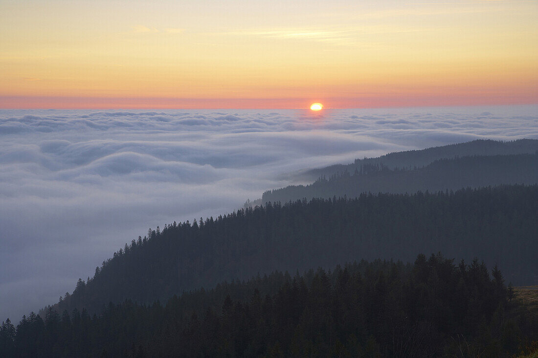 Feldberg in morning light above fog bank, Black Forest, Baden Wurttemberg, Germany