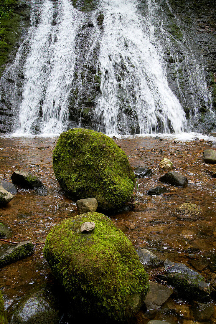 Rüttebach, Wasserfälle bei Todtmoos, Sommer, Schwarzwald, Baden-Württemberg, Deutschland, Europa