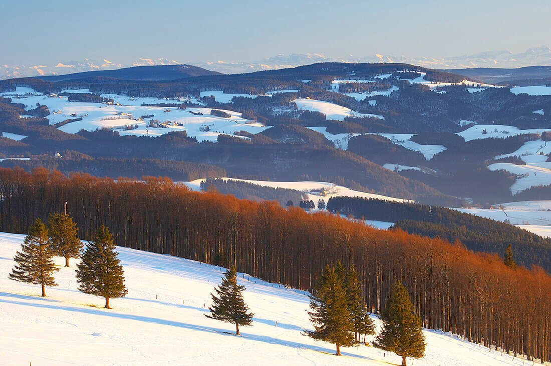 Winter, Blick vom Kandel auf den Schwarzwald mit Hochfirst, Thurner, Ohmenkapelle und den Schweizer Alpen, Schwarzwald, Baden-Württemberg, Deutschland, Europa