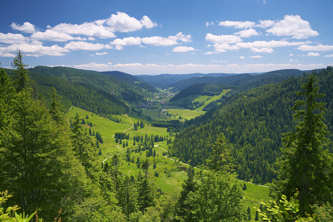 Blick auf Menzenschwand im Albtal, Sommertag, Schwarzwald, Baden-Württemberg, Deutschland, Europa