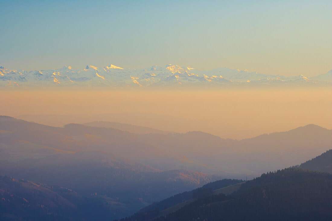 View from the mountain Belchen to the Swiss Alps, At sunset, Winter, Black Forest, Baden-Württemberg, Germany, Europe