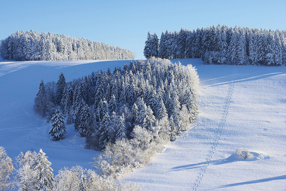 Snow covered Black Forest near St. Maerten, Baden Wuerttemberg, Germany