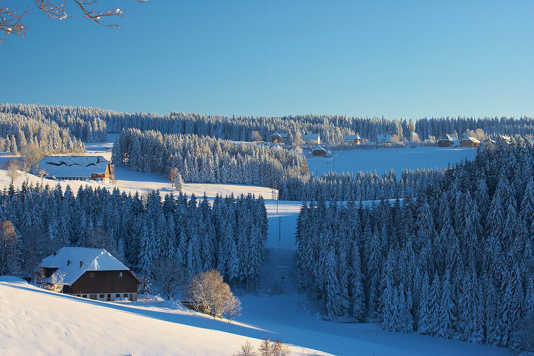 View from the Thurner at farmhouses, Winter's day, Black Forest, Baden-Württemberg, Germany, Europe