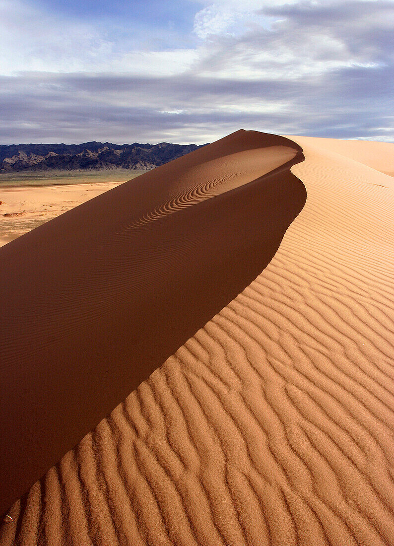 Sand dune, Gobi Desert, Mongolia
