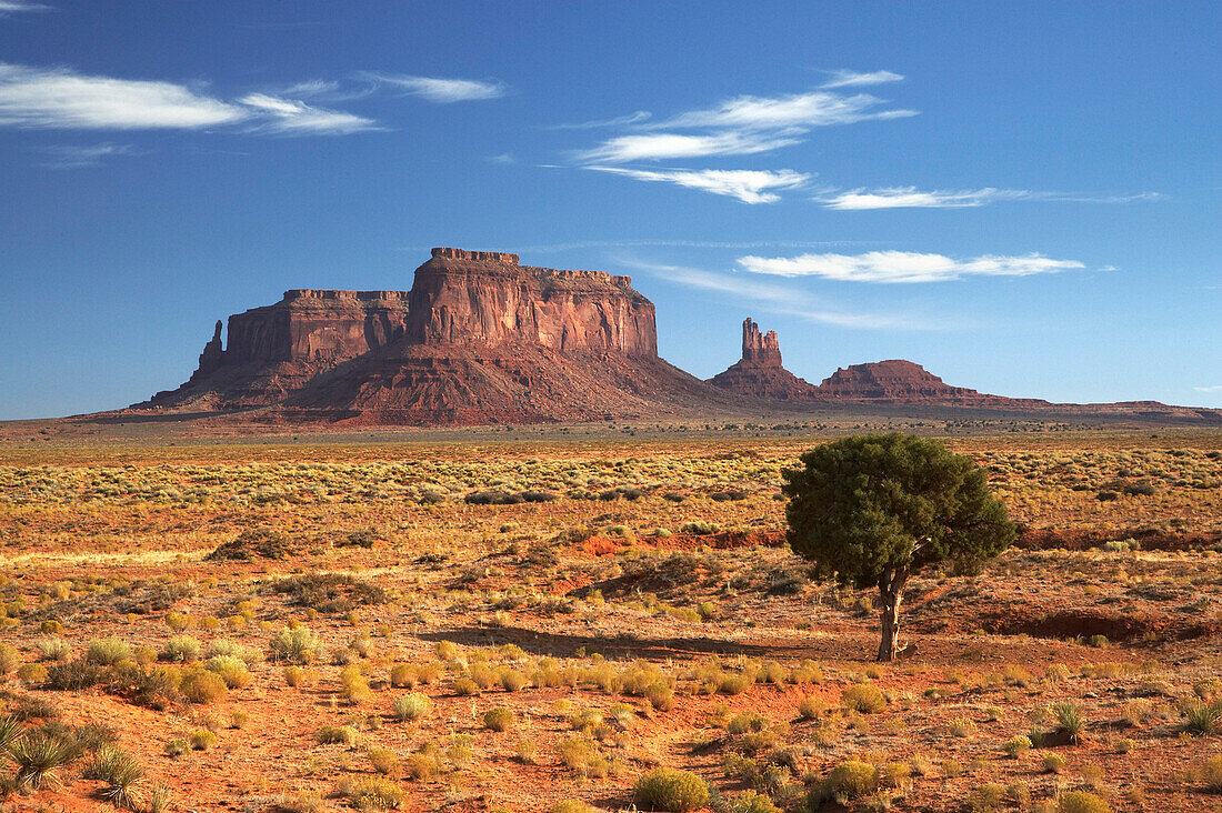 Typical scenery on border of Arizona and Utah, Monument Valley, Arizona, USA