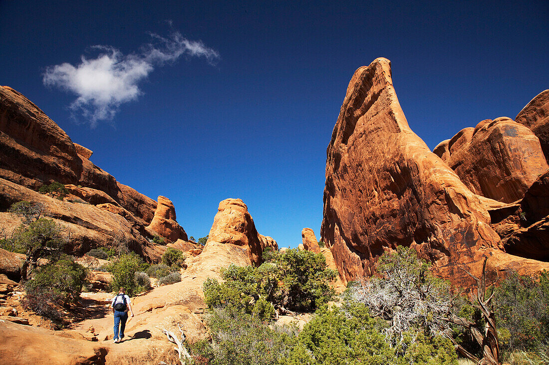Hiker and red rock formation scenery, Arches National Park, Utah, USA