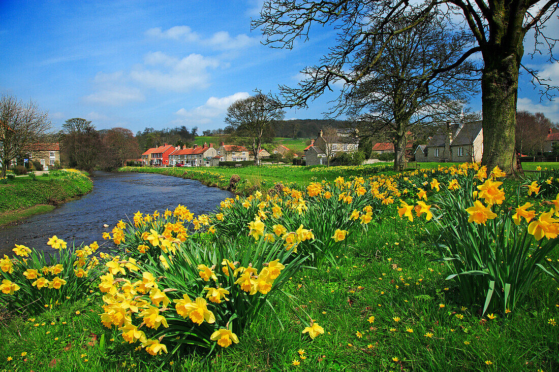 Village of Sinnington in springtime, Pickering, near, Yorkshire, UK, England