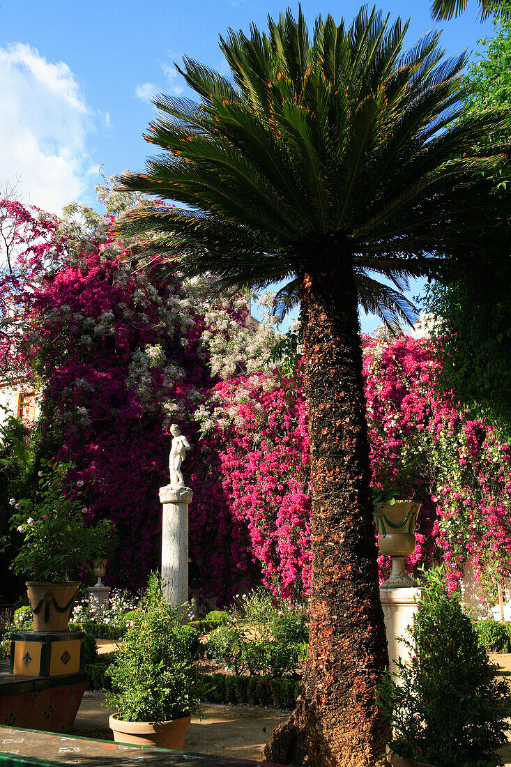 Casa de Pilatos, garden sculpture and palm, Seville, Andalucia, Spain