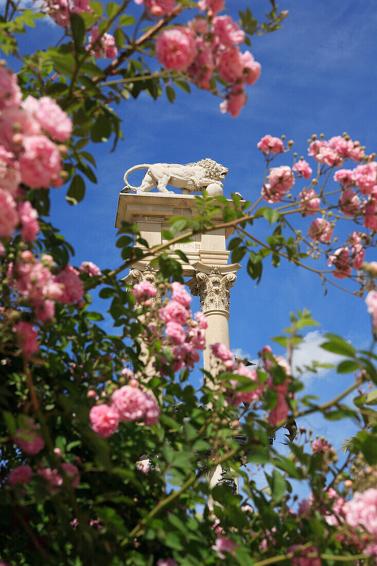 Monument to Christopher Columbus through flowers in Jardines de Murillo, Seville, Andalucia, Spain