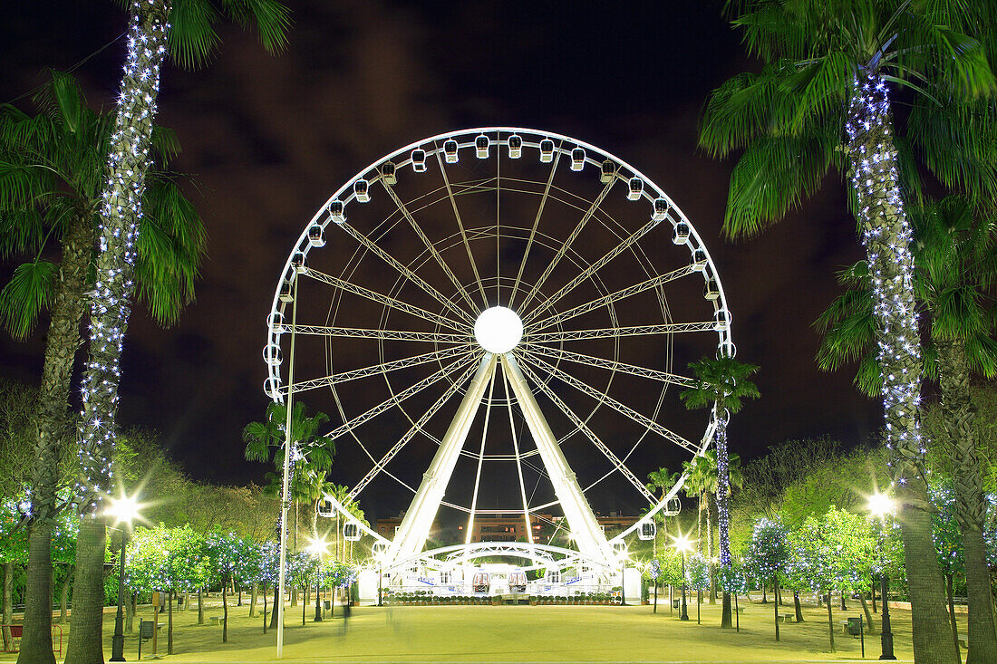 Prado de San Sebastian, ferris wheel at night framed by palm trees, Seville, Andalucia, Spain