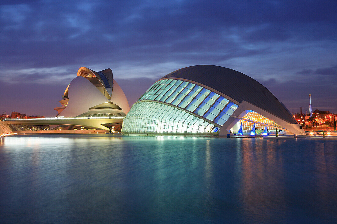 Ciudad de las Artes y las Ciencias at night, Valencia, Valencia Region, Spain