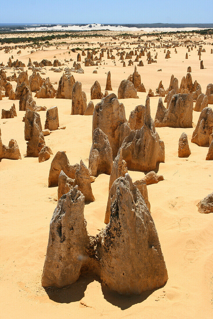 Overview of rock formations in desert, Nambung National Park, Western Australia, Australia