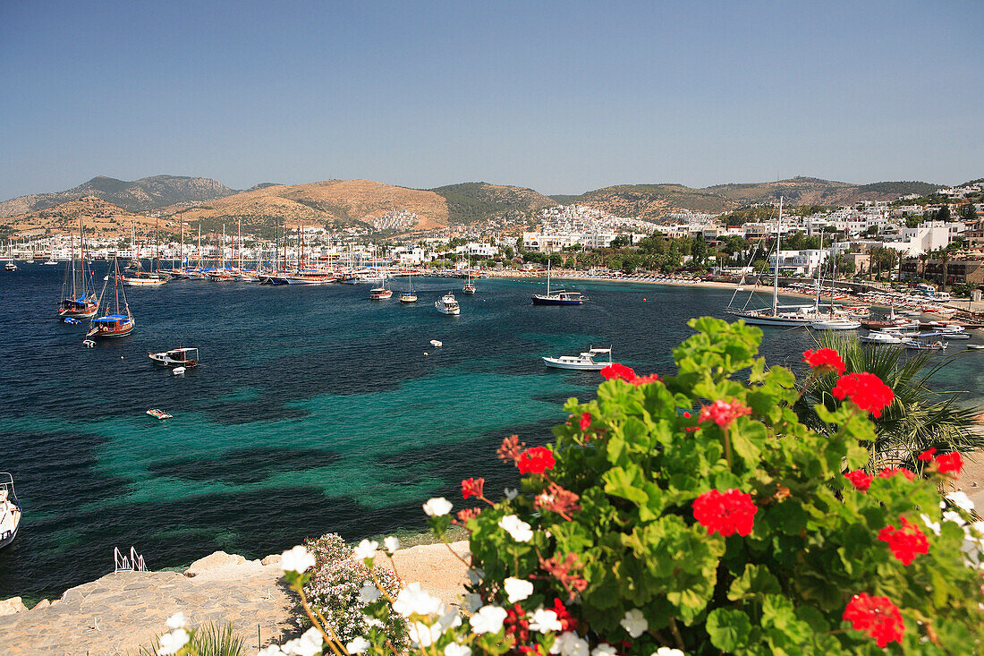 View over Outer Harbour with flowers in foreground, Bodrum, Aegean, Turkey