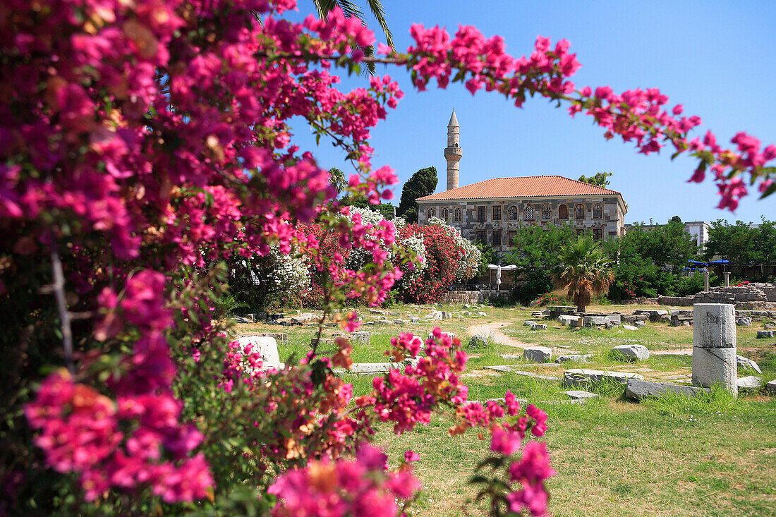 Mosque at the ancient Agora framed by flowers, Kos Town, Kos Island, Greek Islands