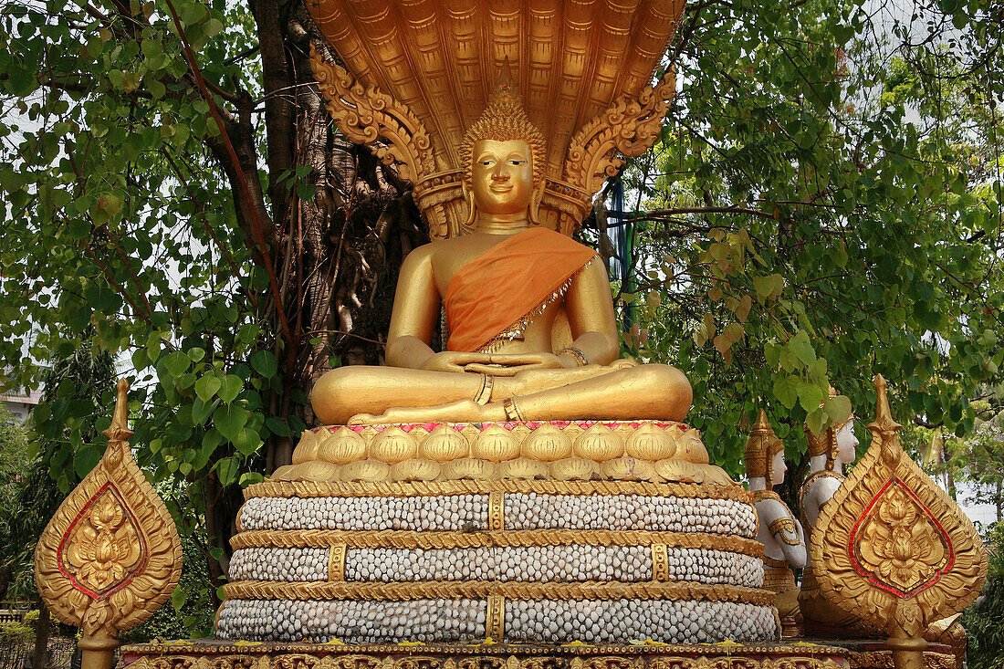 Buddha statue at Wat Si Muang, Vientiane, Laos