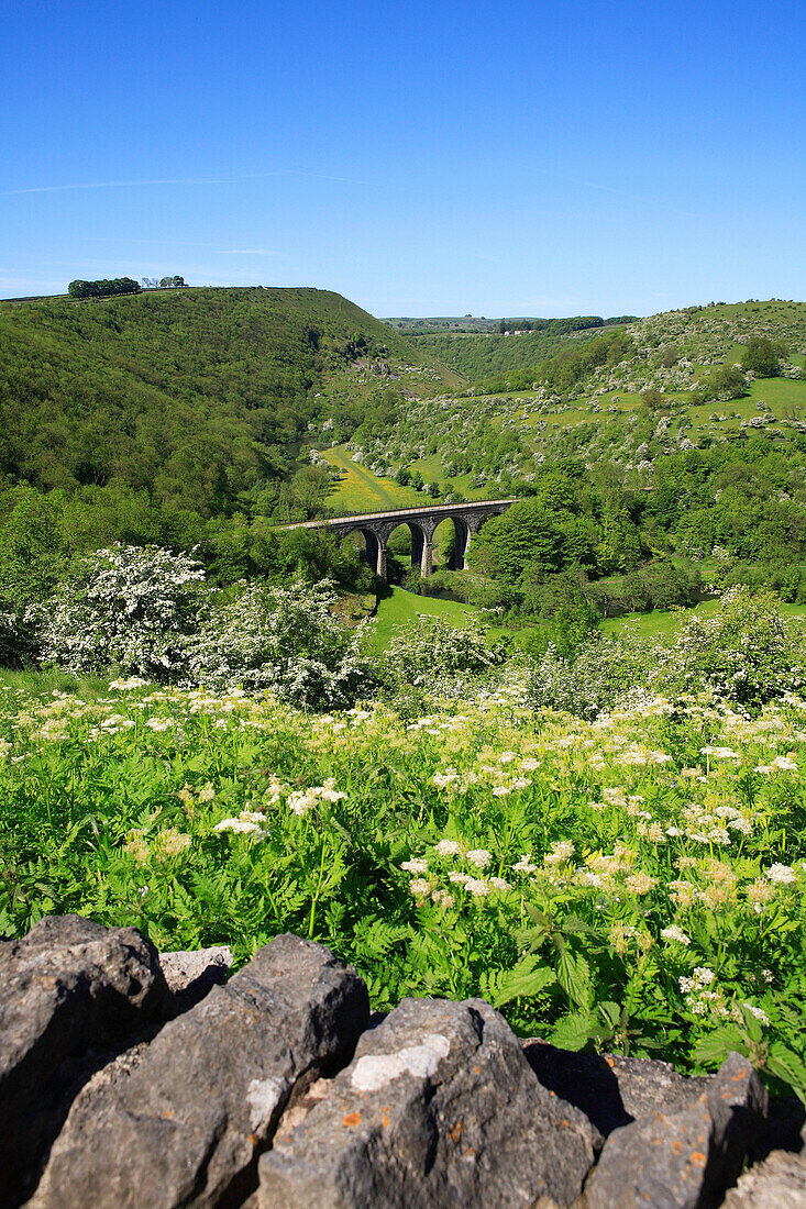 Viaduct from Monsal Head, Monsal Dale, Derbyshire, UK, England