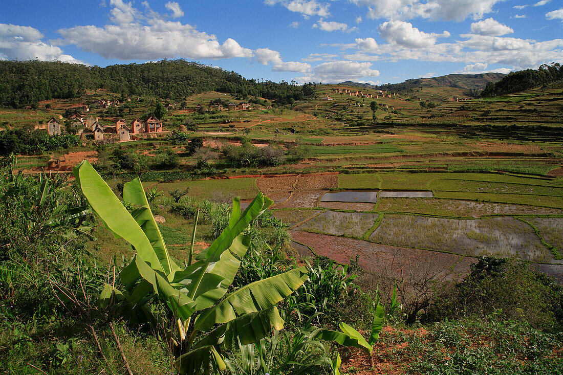 View of rice fields and village, General, Madagascar
