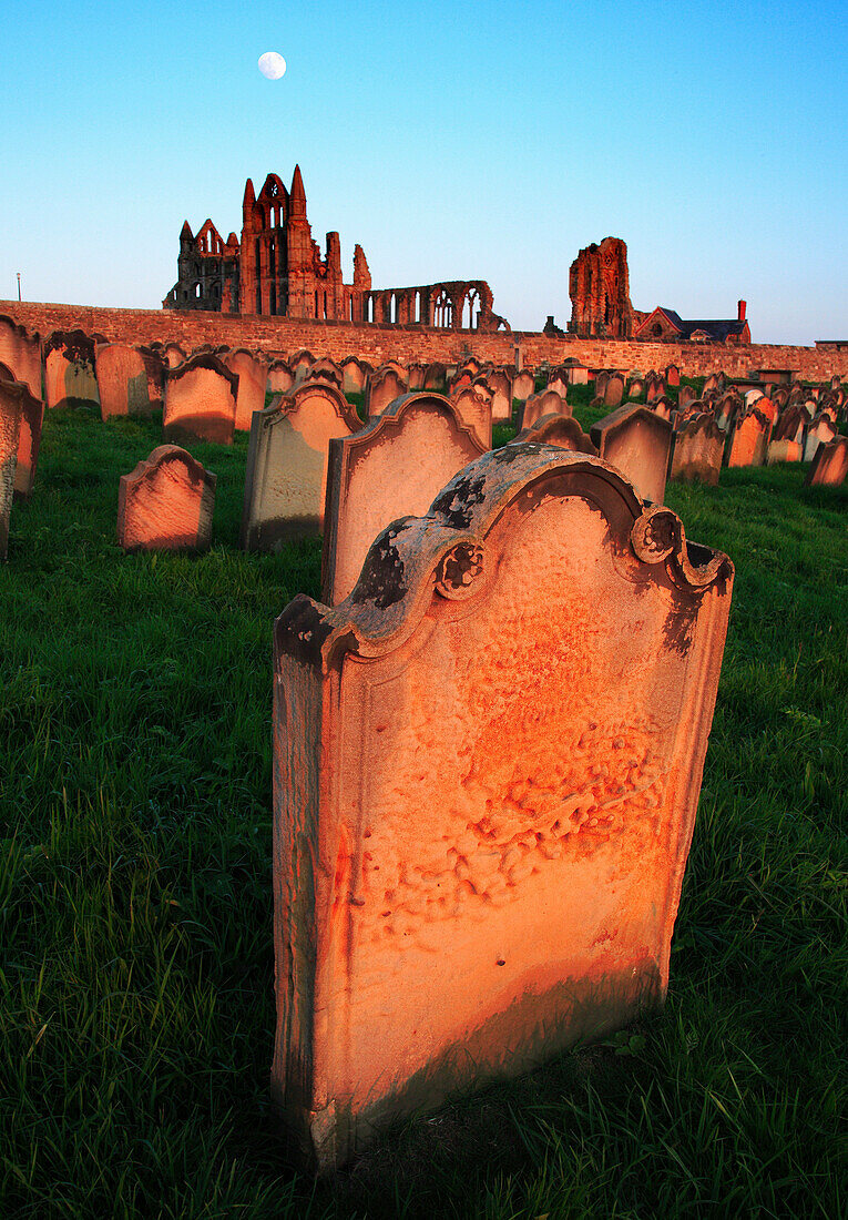 Whitby Abbey from of St Marys Church graveyard, Whitby, Yorkshire, UK, England