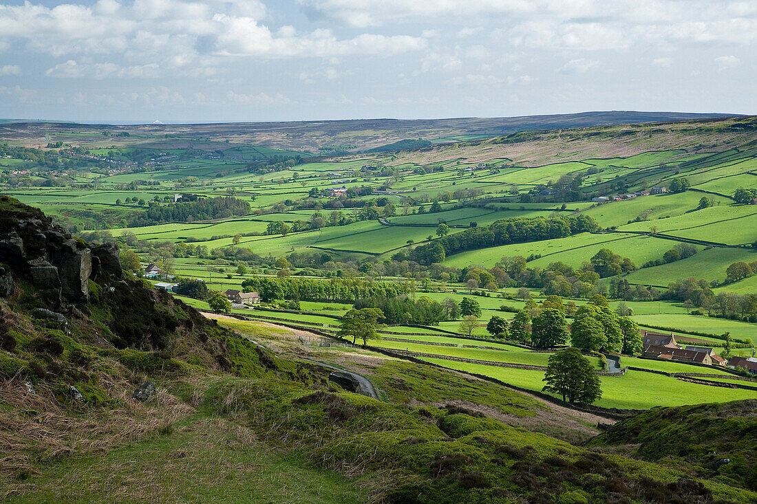 View over the North York Moors National Park, Danbydale, Yorkshire, UK, England