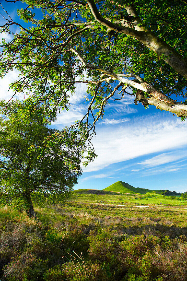 Hawnby Hill in the North York Moors National Park, Hawnby, near, Yorkshire, UK, England