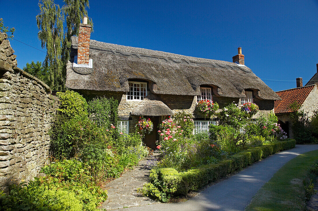 Thatched cottage and garden in summer, Thornton le Dale, Yorkshire, UK, England