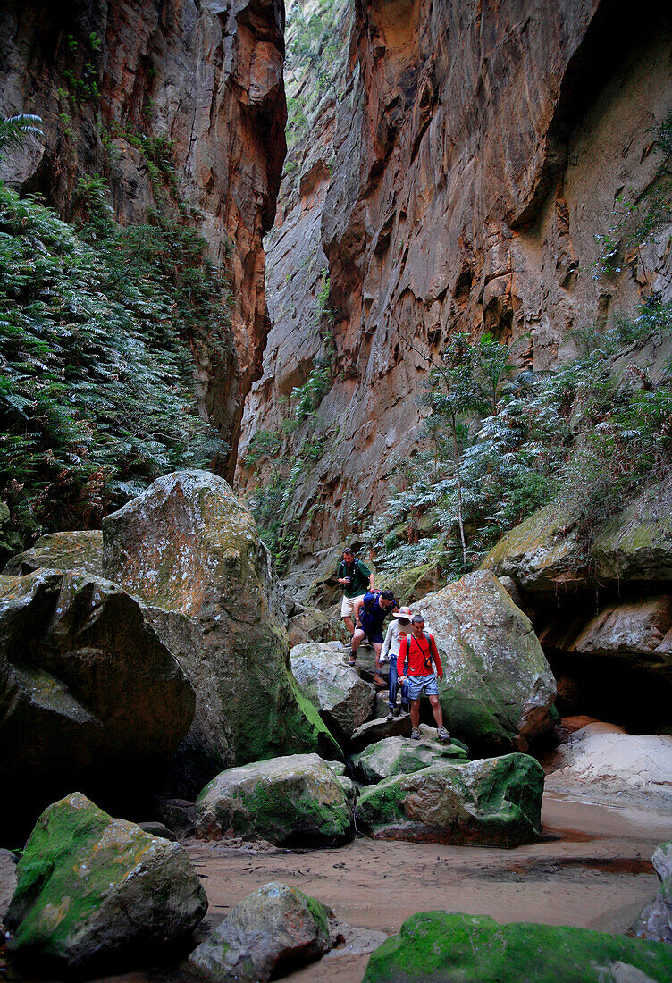 Walkers in the red canyon, Isalo National Park, Madagascar
