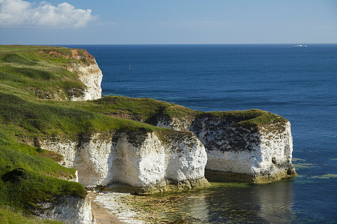 Chalk cliffs, Flamborough Head, Yorkshire, UK, England