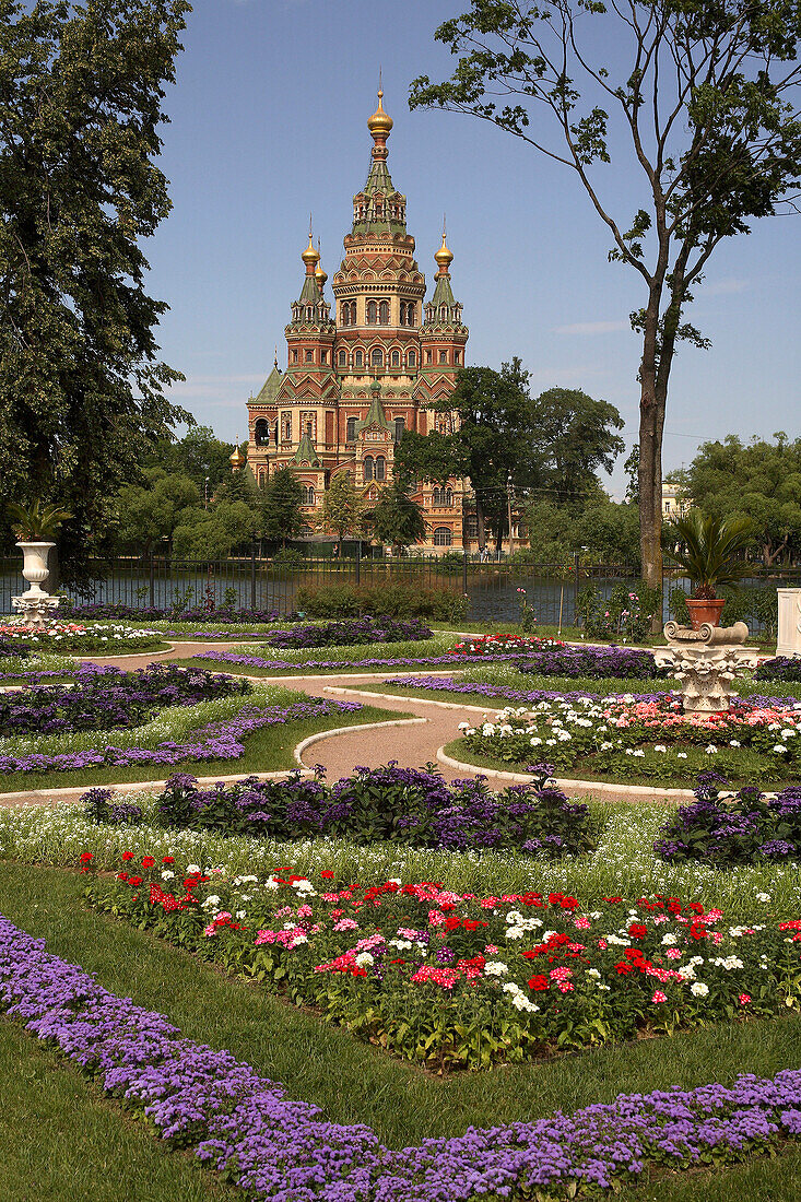 Peterhof, Peter and Paul Church seen from Tsarina Pavilion gardens, St Petersburg, Russian Federation
