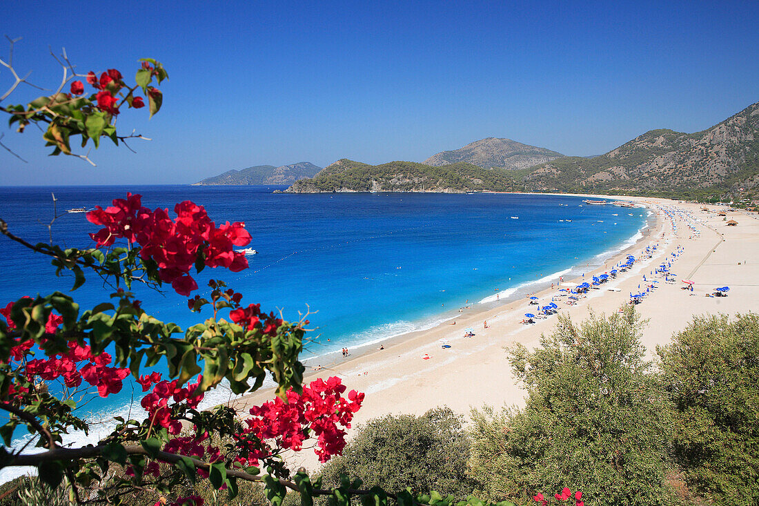 Beach scene, view through flowering branches, Oludeniz, Mediterranean, Turkey
