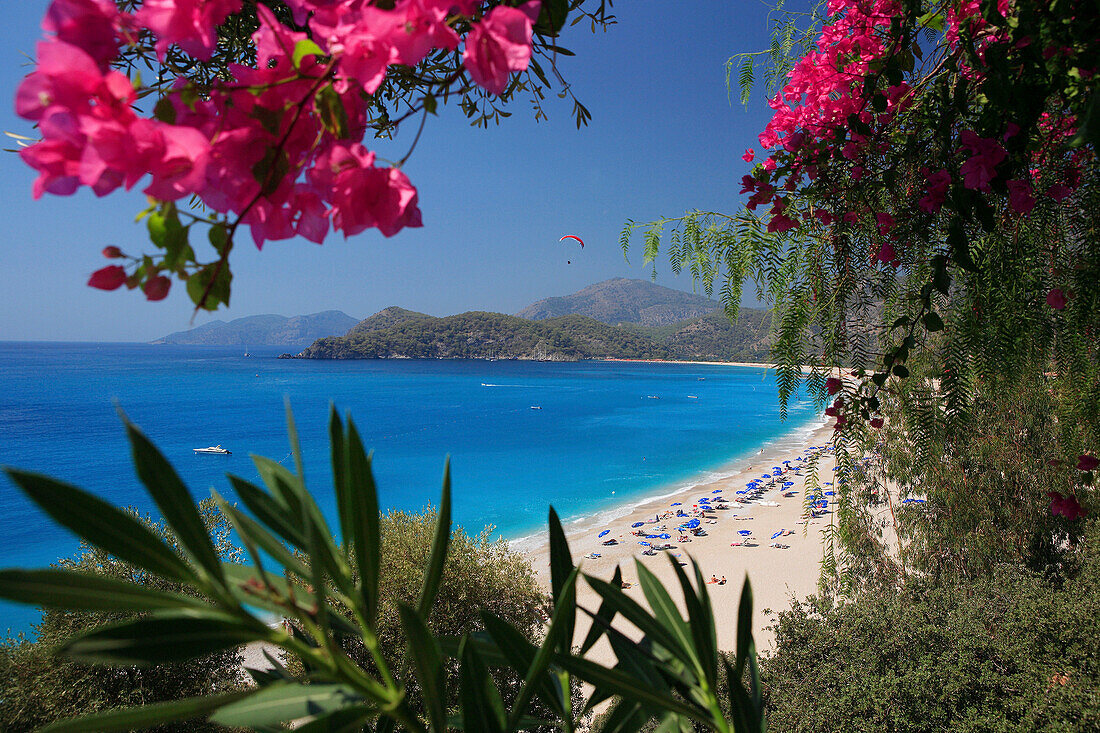 Beach scene, view framed by flowers, Oludeniz, Mediterranean, Turkey