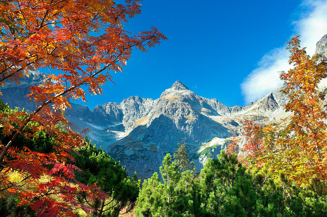 Valley and mountains in autumn, Tatra Mountains, Kiezmarska Valley, Slovakia