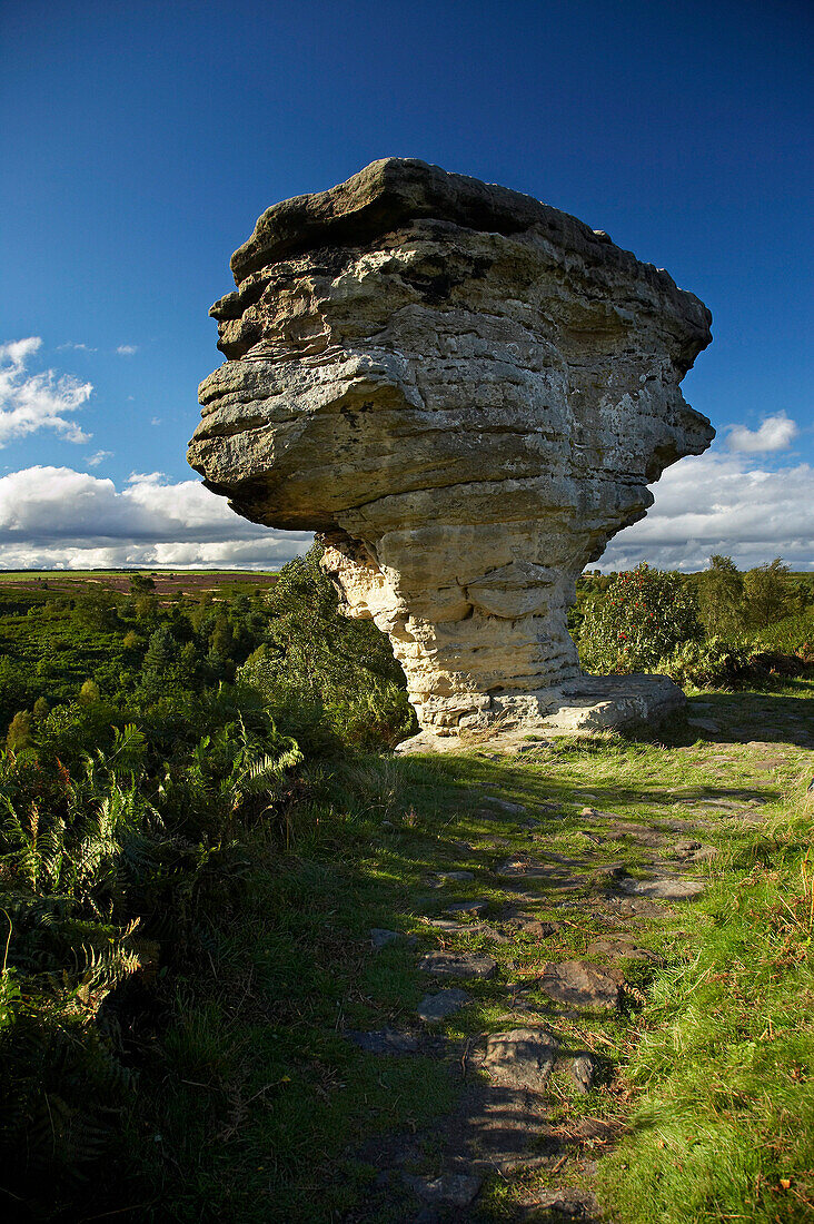 Bridestones, rock formations in the North York Moors National Park, Dalby Forest, Yorkshire, UK, England