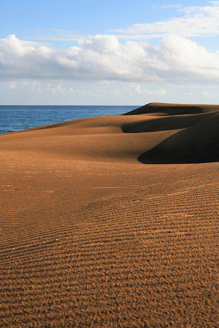 View over sand dunes to sea, Maspalomas, Gran Canaria, Canary Islands