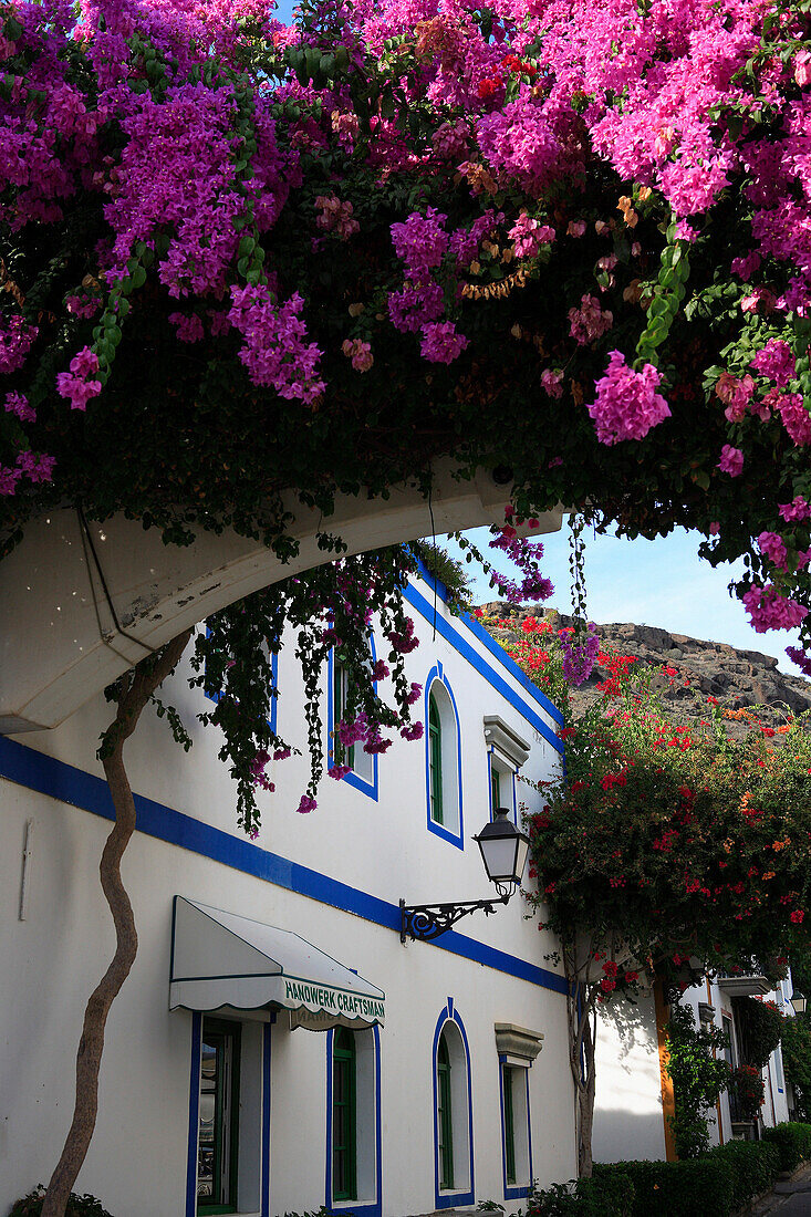 House and flowers, Puerto de Mogan, Gran Canaria, Canary Islands